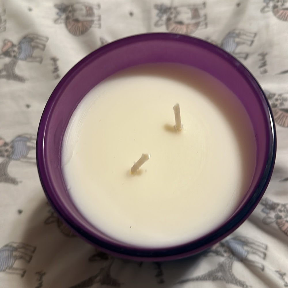 DW Home Passion Fruit Pomelo Candle - Picture 3 of 4